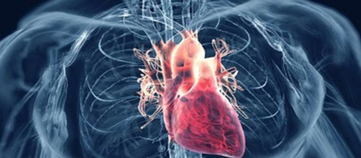 Η τροφή που μειώνει τον κίνδυνο καρδιακής προσβολής